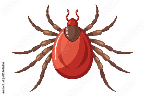 Illustration of tick animal on white.