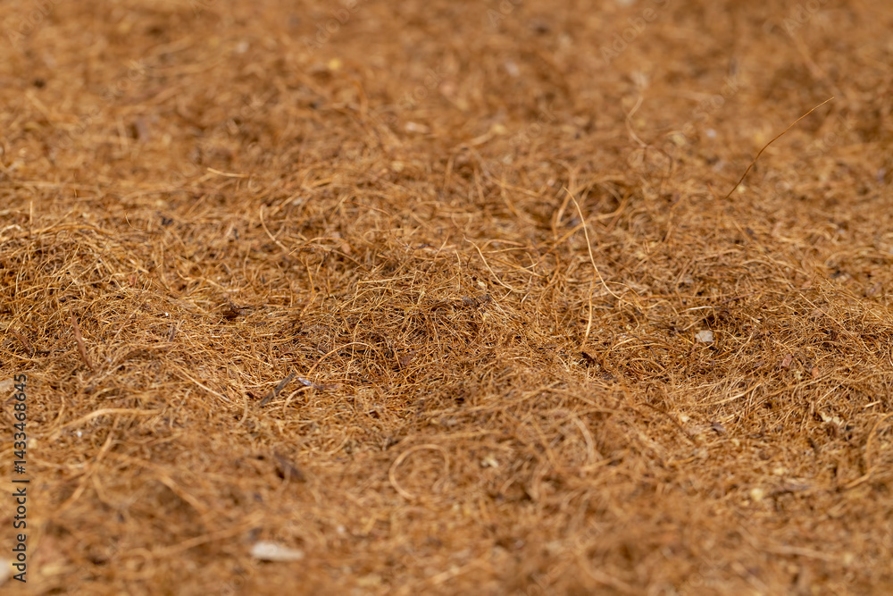 a part of a used coconut mattress to ensure hardness
