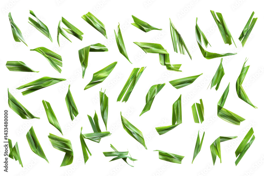 Green leaves arranged on a white surface showcasing natural textures and shapes Green leaves arranged on a white surface showcasing natural textures and shapes