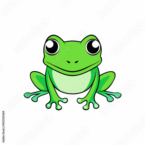 frog on white background
