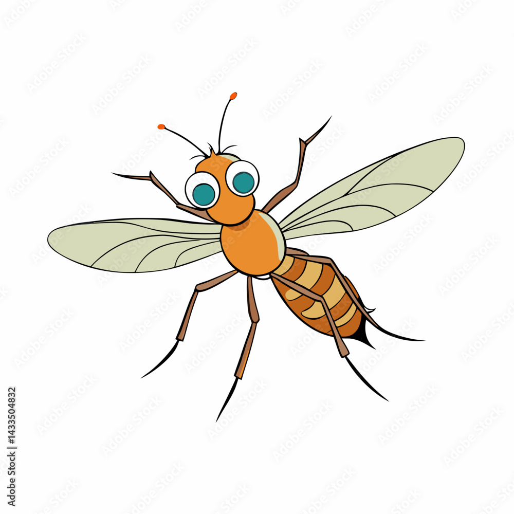 fly on white background fly on white background