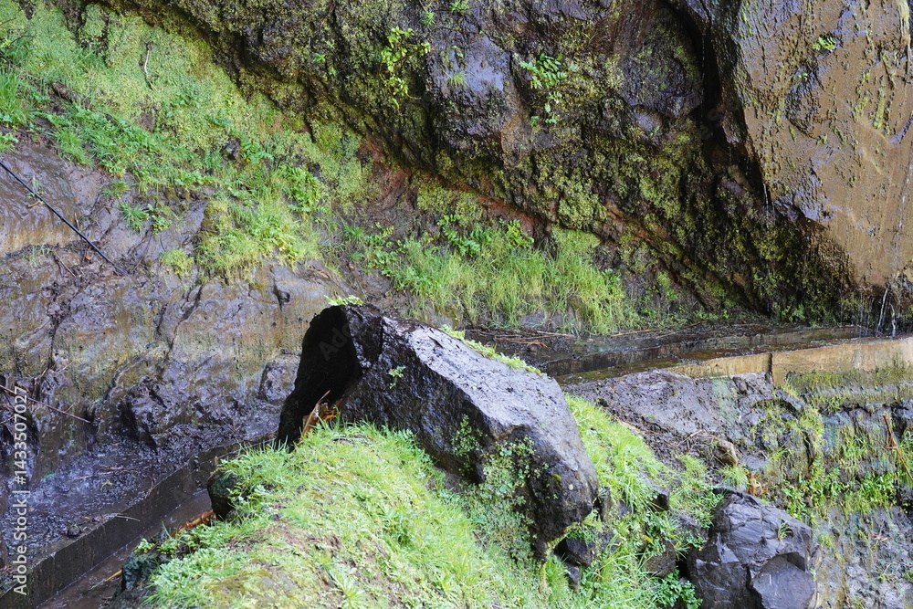 Levada bei Nordeste auf São Miguel