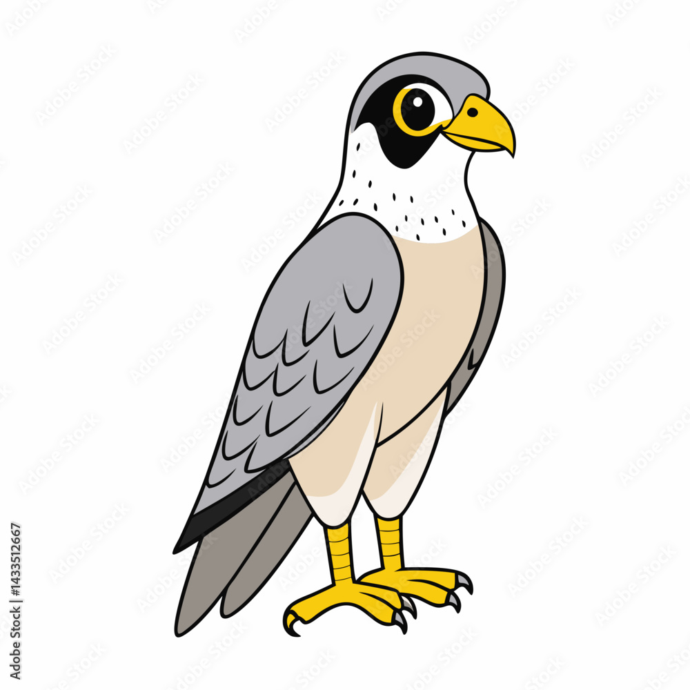 Fototapeta premium vector illustration of a bird