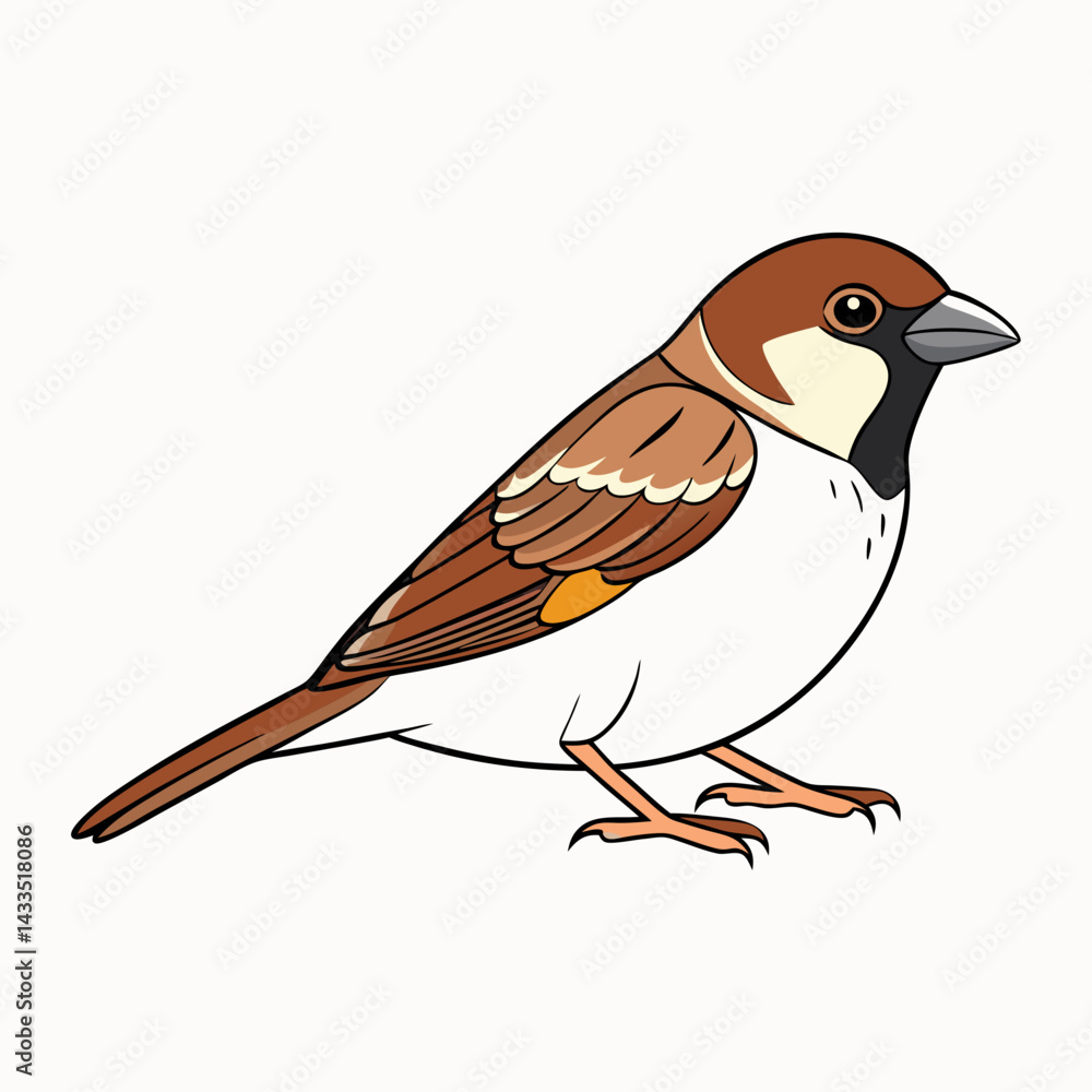 Fototapeta premium bird on a branch
