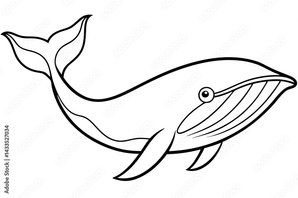 Simple Whale Sketch Vector