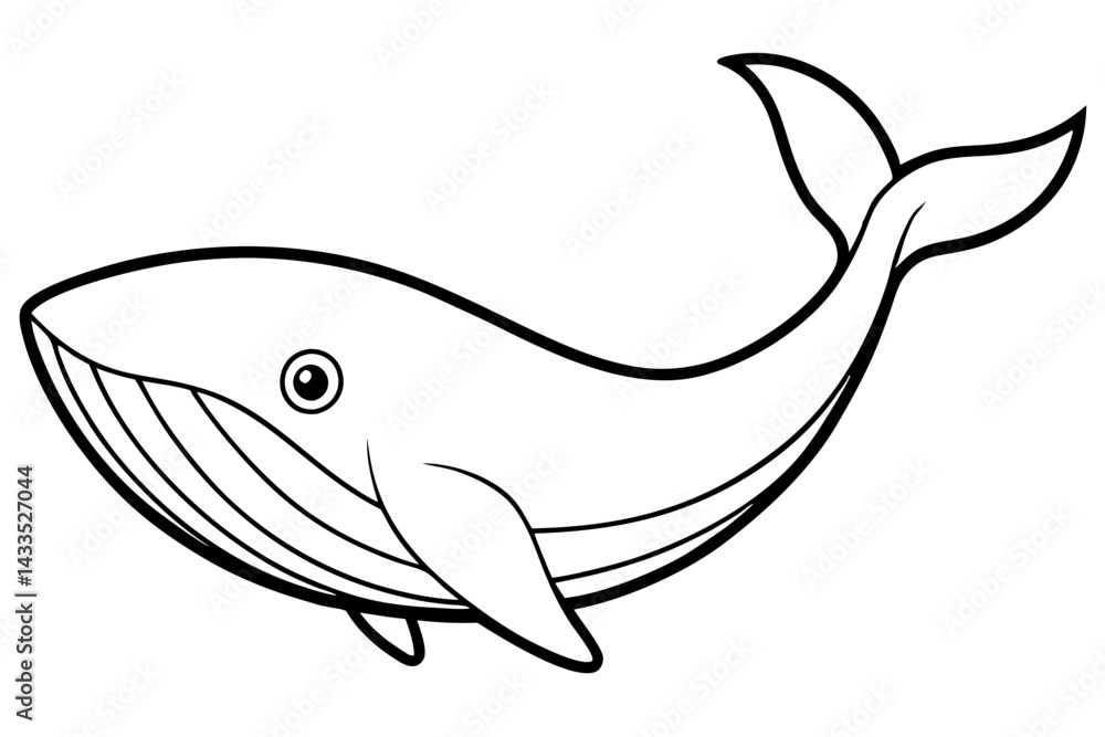 Simple Whale Sketch Vector Simple Whale Sketch Vector