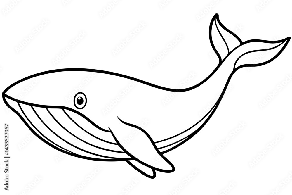 Simple Whale Sketch Vector Simple Whale Sketch Vector