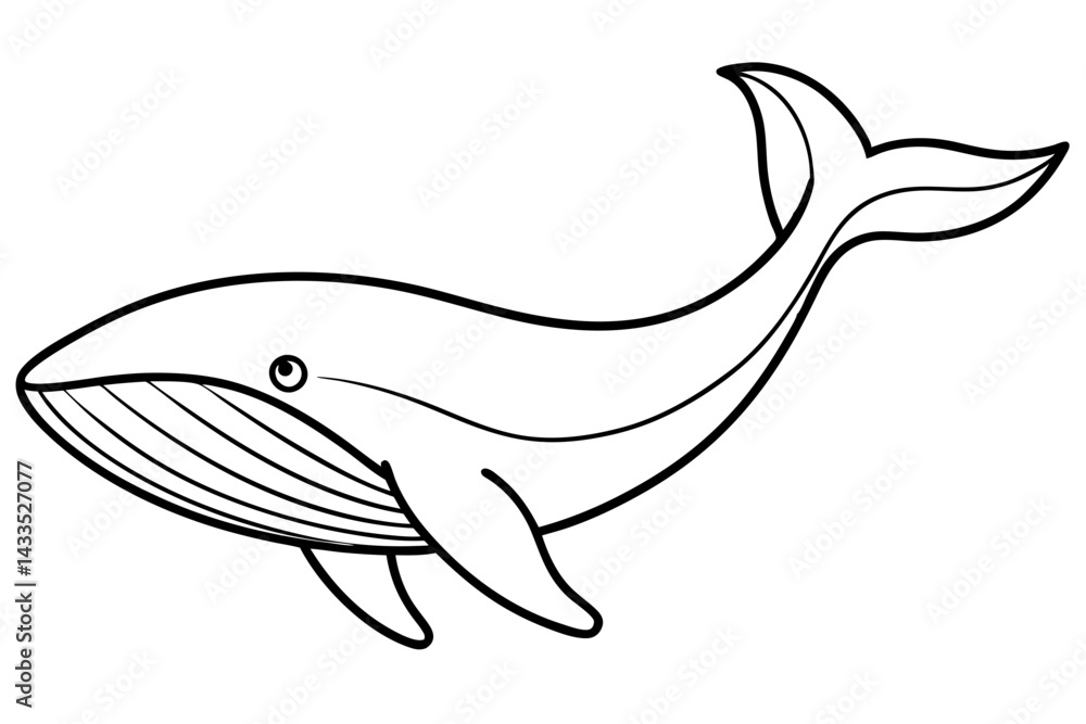 Simple Whale Sketch Vector Simple Whale Sketch Vector