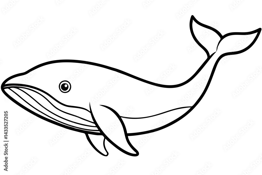 Simple Whale Sketch Vector Simple Whale Sketch Vector