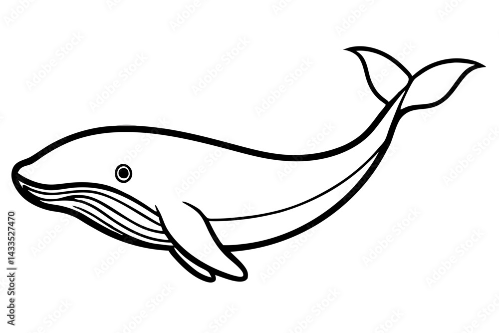 Simple Whale Sketch Vector Simple Whale Sketch Vector