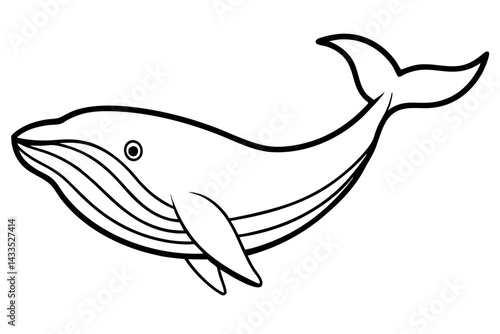 Simple Whale Sketch Vector