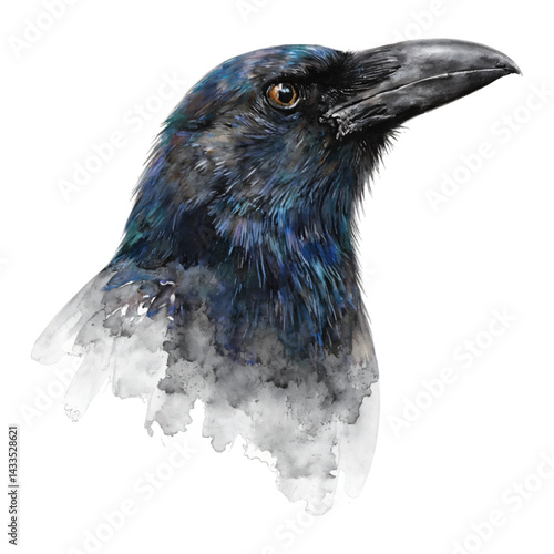 Detailed Crow Head Portrait Isolated Hand Drawn Watercolor Painting Illustration Bird Close Up View