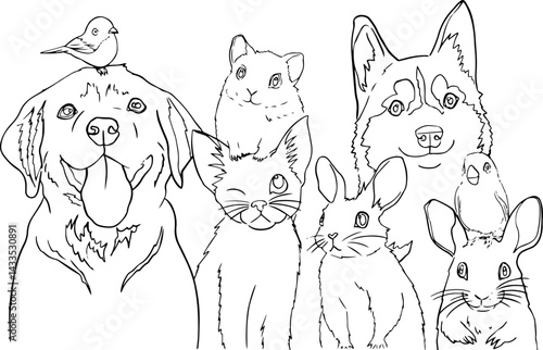 Black and white line drawing of various pets grouped together, including a dog with a small bird on its head, cats, a hamster, a husky, a rabbit, and birds. coloring page use