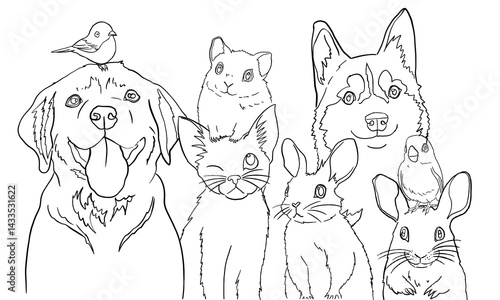 Black and white line drawing of various pets grouped together, including a dog with a small bird on its head, cats, a hamster, a husky, a rabbit, and birds. coloring page use