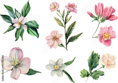 set of watercolor flowers