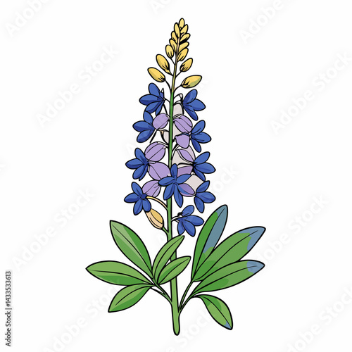 forget me not flowers