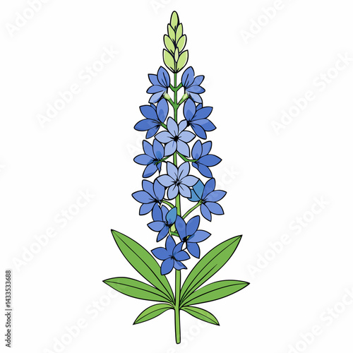forget me not