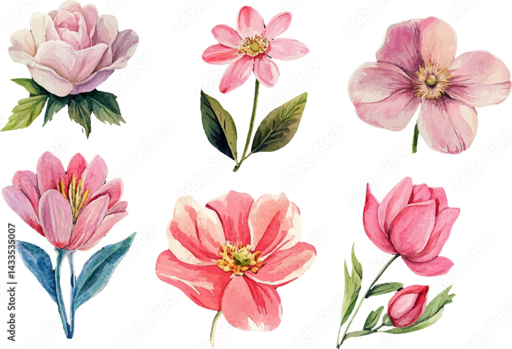 Fototapeta premium set of flowers
