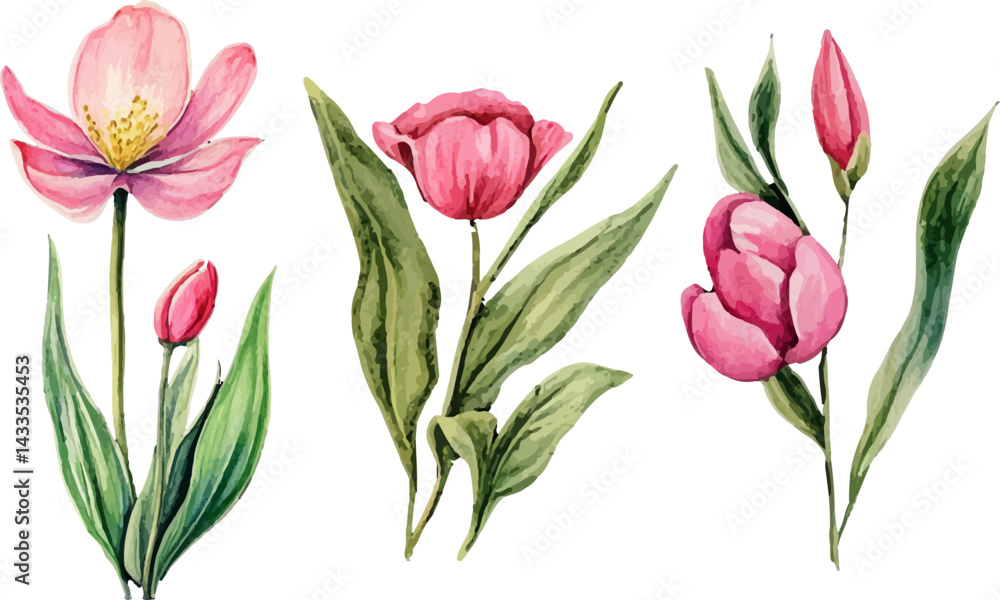 custom made wallpaper toronto digitalbouquet of pink tulips