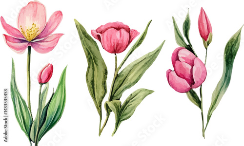 Wallpaper Mural bouquet of pink tulips Torontodigital.ca