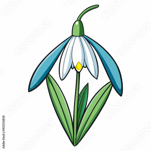 snowdrops isolated on white background