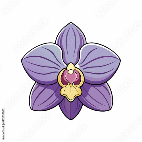 orchid isolated on white