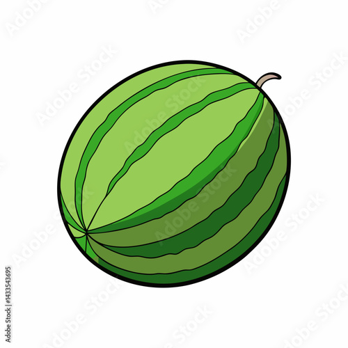 watermelon vector illustration