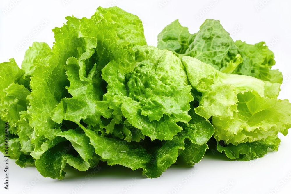 Green lettuce leaves. AI generated illustration. Green lettuce leaves. AI generated illustration.