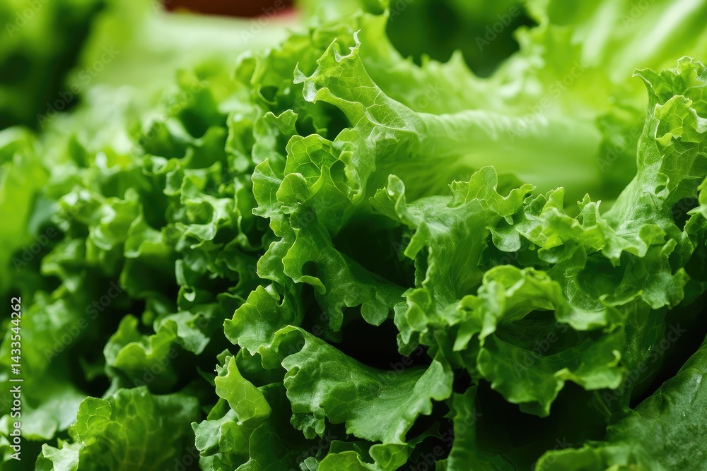Fresh green lettuce leaves with natural texture and soft lighting on neutral background. AI generated illustration. Fresh green lettuce leaves with natural texture and soft lighting on neutral background. AI generated illustration.