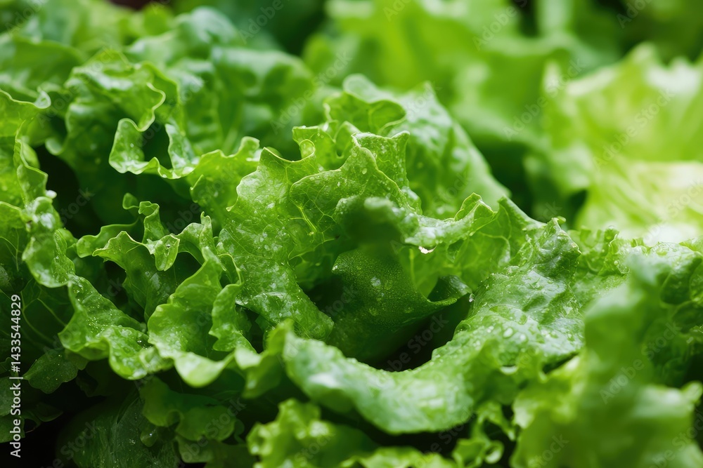 Fresh green lettuce leaves with natural texture and soft lighting on neutral background. AI generated illustration. Fresh green lettuce leaves with natural texture and soft lighting on neutral background. AI generated illustration.