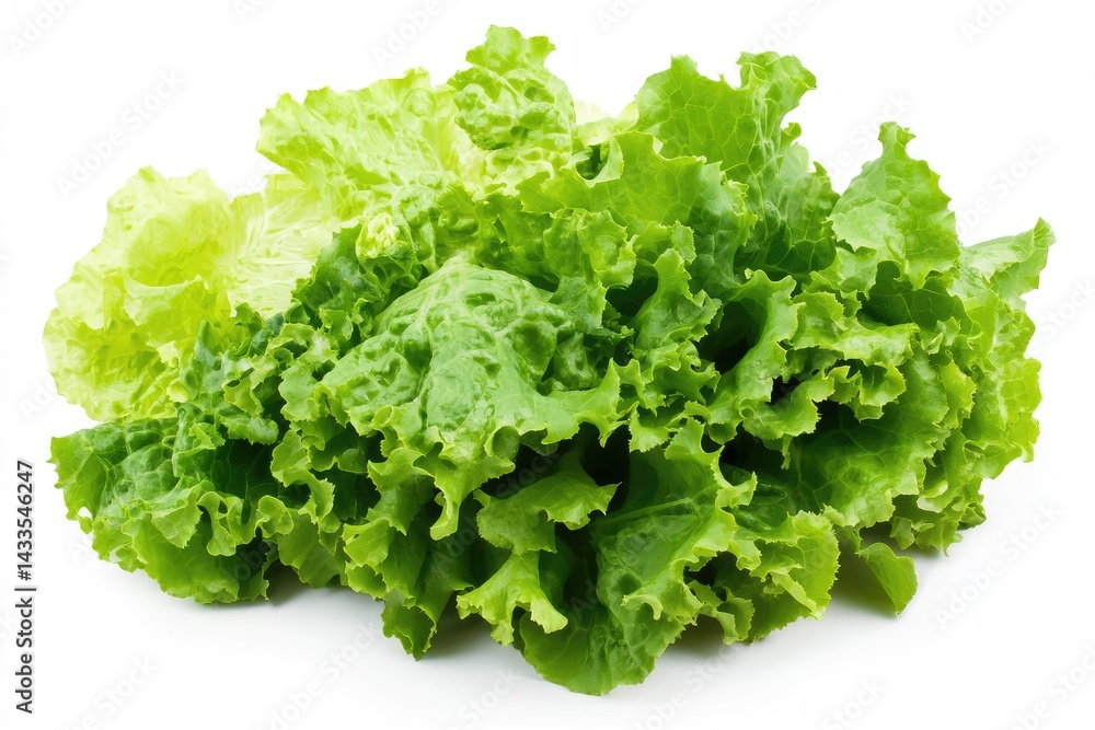 Green lettuce leaves. AI generated illustration. Green lettuce leaves. AI generated illustration.