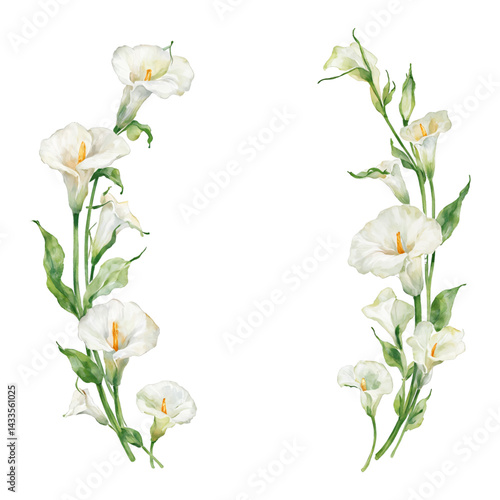 Calla Lily Flowers Frame Beautiful Floral Arrangement Isolated Hand Drawn Watercolor Painting Illustration