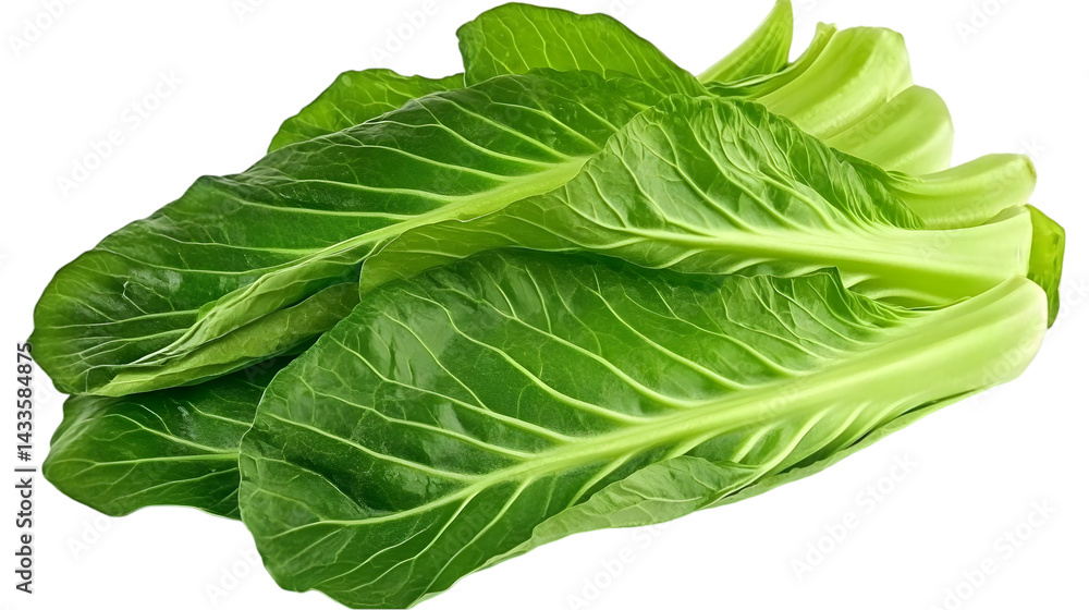 Realistic Photo of Fresh Green Leafy Vegetable Isolated on Transparent Background