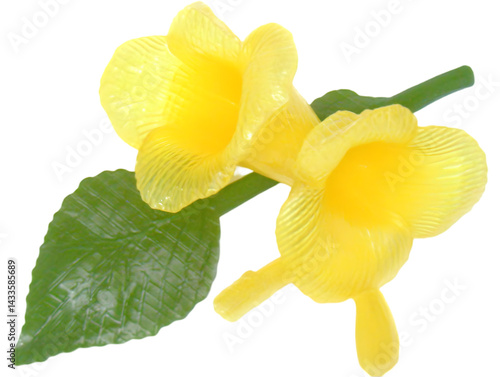 Realistic Photo of Two Yellow Flowers with Green Leaf in Isolated Background
