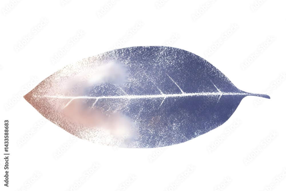 Transparent Leaf Illustration with Veins and Subtle Colors Isolated