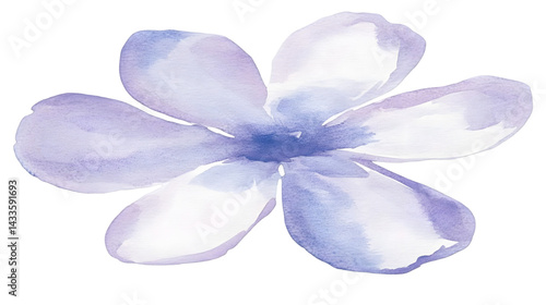 Watercolor Illustration of Purple Flower with Delicate Petals Isolated