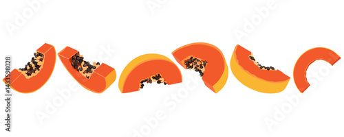 Set with slices papaya. Hand drawn papaya slices illustrated from different sides.