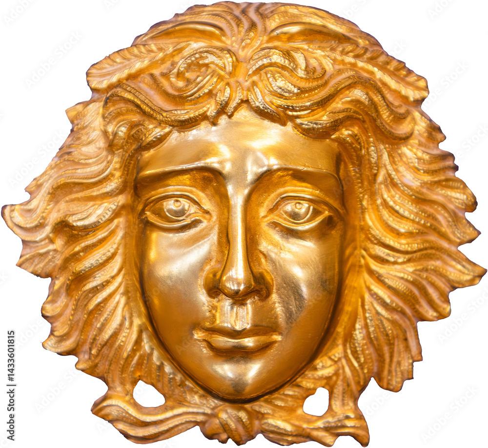 Fototapeta premium golden head isolated