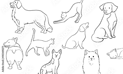 Black and white line drawing showing various domestic cats and dogs. lab, corgi, puppy and cat. For a coloring book or educational material about pets.