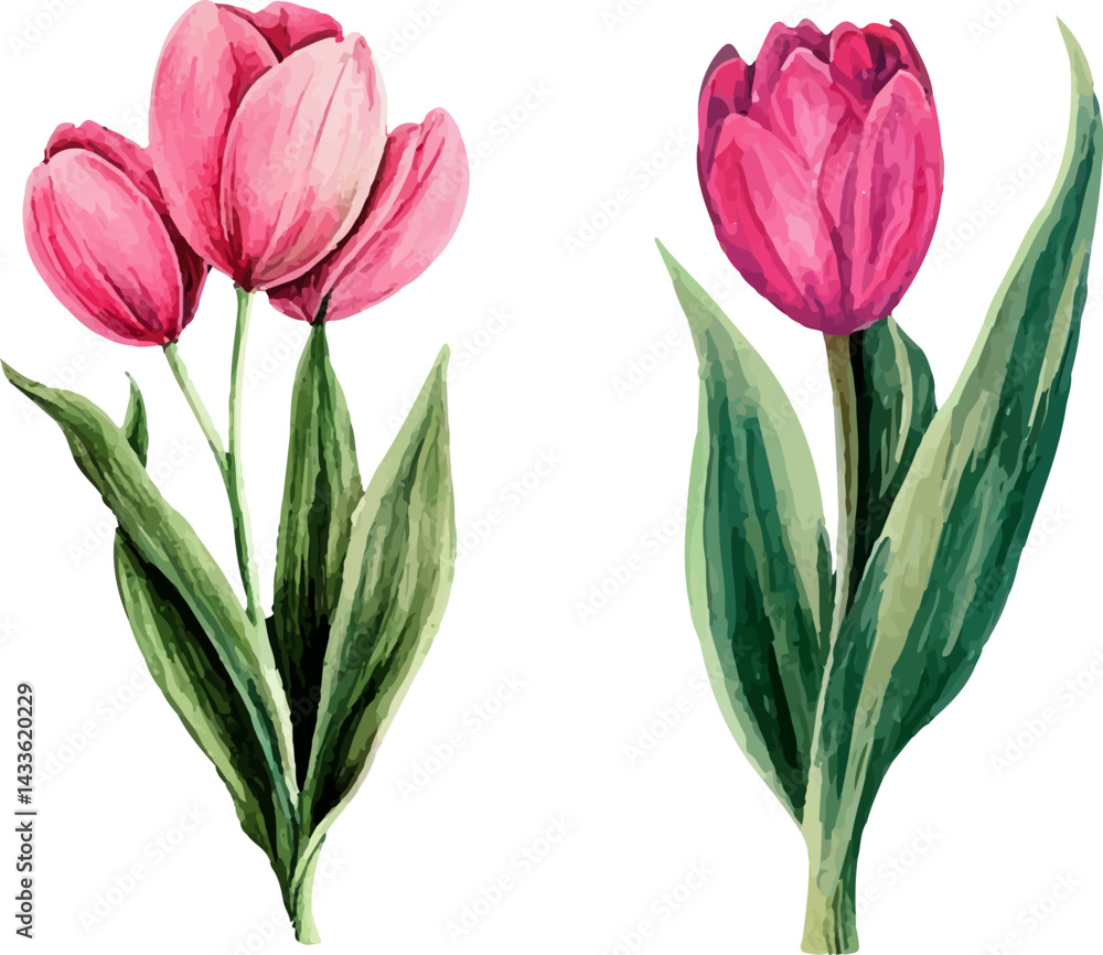 Fototapeta premium bouquet of pink tulips
