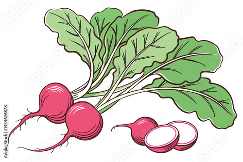 88 Vibrant pink radishes, Crisp green radish leaves, Fresh garden vegetables, White background, Photorealistic, High detail, Macro photography, Organic produce, Crisp shadows, Bright lighting, Food ph