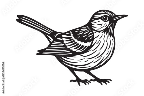 Bird Silhouette Vector Detailed Songbird Line Art Illustration
