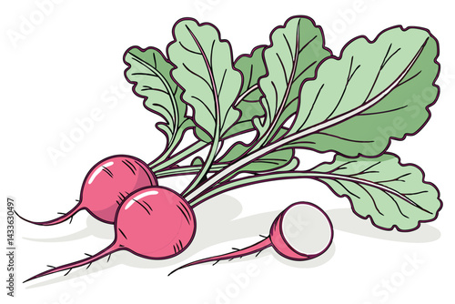 88 Vibrant pink radishes, Crisp green radish leaves, Fresh garden vegetables, White background, Photorealistic, High detail, Macro photography, Organic produce, Crisp shadows, Bright lighting, Food ph