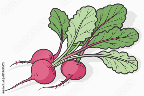 88 Vibrant pink radishes, Crisp green radish leaves, Fresh garden vegetables, White background, Photorealistic, High detail, Macro photography, Organic produce, Crisp shadows, Bright lighting, Food ph