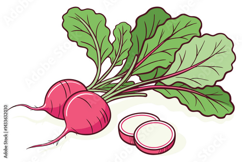 88 Vibrant pink radishes, Crisp green radish leaves, Fresh garden vegetables, White background, Photorealistic, High detail, Macro photography, Organic produce, Crisp shadows, Bright lighting, Food ph