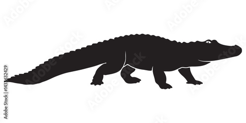Crocodile and reptile collection on white and black backgrounds
