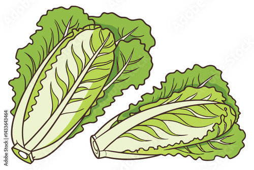 90 Fresh green lettuce, crisp leafy vegetable, vibrant lime color, organic produce, healthy food, salad ingredient, high-definition photography, white background, studio lighting, closeup detail, bota