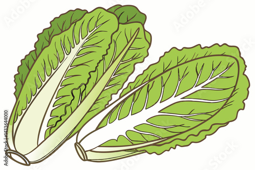 90 Fresh green lettuce, crisp leafy vegetable, vibrant lime color, organic produce, healthy food, salad ingredient, high-definition photography, white background, studio lighting, closeup detail, bota