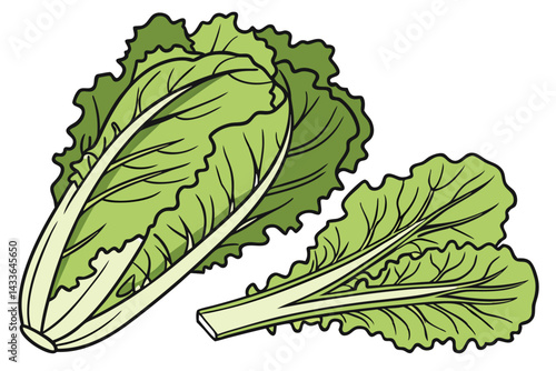 90 Fresh green lettuce, crisp leafy vegetable, vibrant lime color, organic produce, healthy food, salad ingredient, high-definition photography, white background, studio lighting, closeup detail, bota