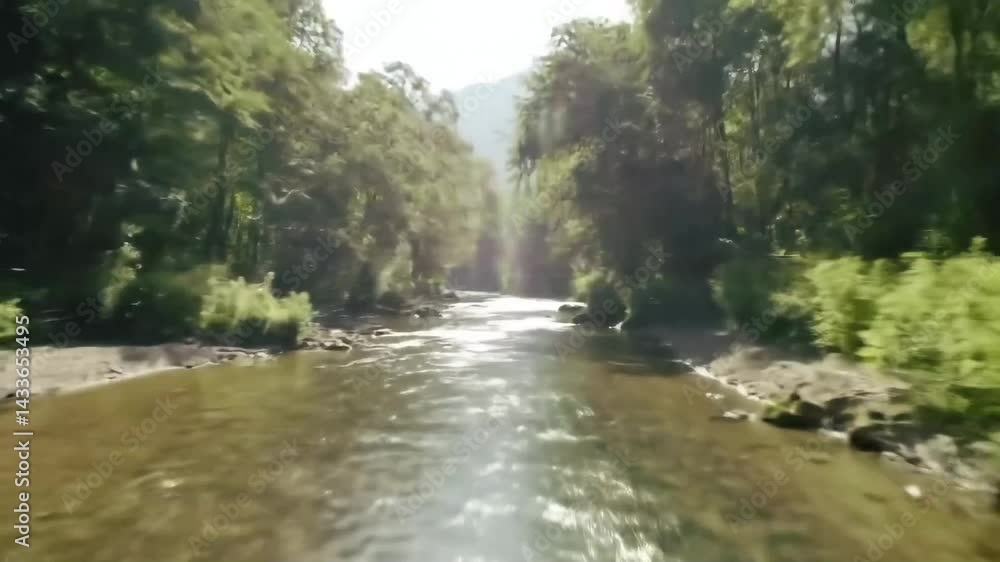 Whispers of the Forest River: A Cinematic Nature Journey Whispers of the Forest River: A Cinematic Nature Journey